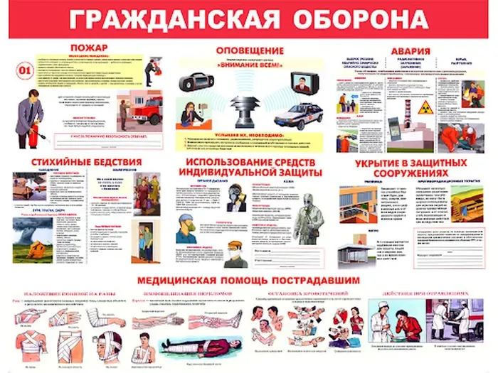 fXyF3izjVe0oYMsx0KiVU-yoR7WsgceSmZoZqahy_fit-in_1024x1024_filters_quality(80)_format(webp)_782329.selcdn.ru_leonardo_uploadsForSiteId_201358_content_be53b43d-6b0c-4fa4-b6b2-b57204e9b0d6